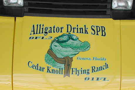 alligator graphic